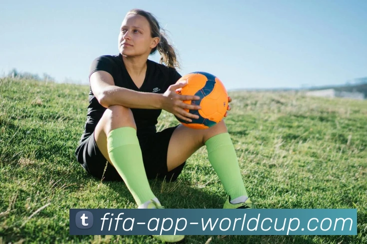 FIFA世界杯服务体系